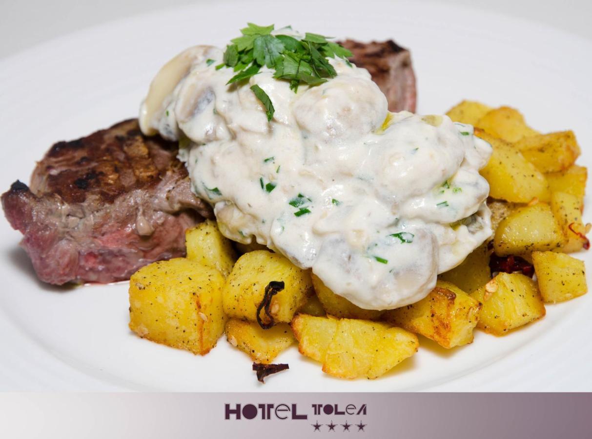 Hotel Tolea トゥルゴヴィシュテ エクステリア 写真